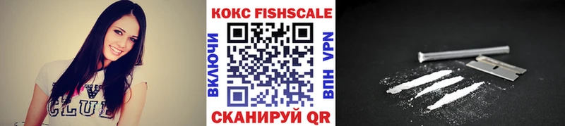 Кокаин Fish Scale  цены   Каменка 