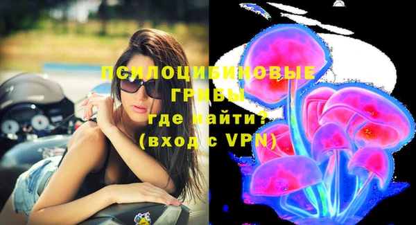 гидра Белокуриха
