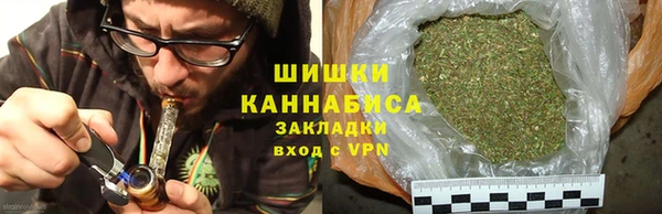 гидра Белокуриха