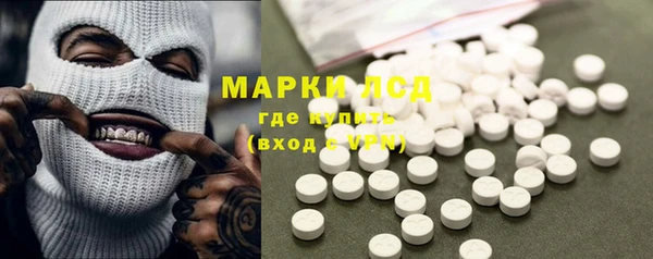гидра Белокуриха